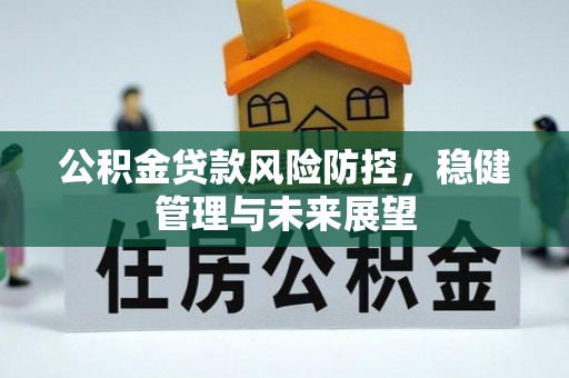 云安公积金贷款风险防控，稳健管理与未来展望
