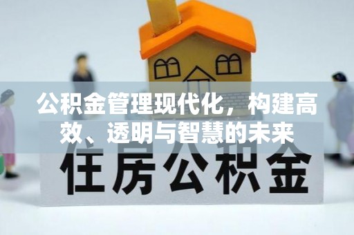 云安公积金管理现代化，构建高效、透明与智慧的未来